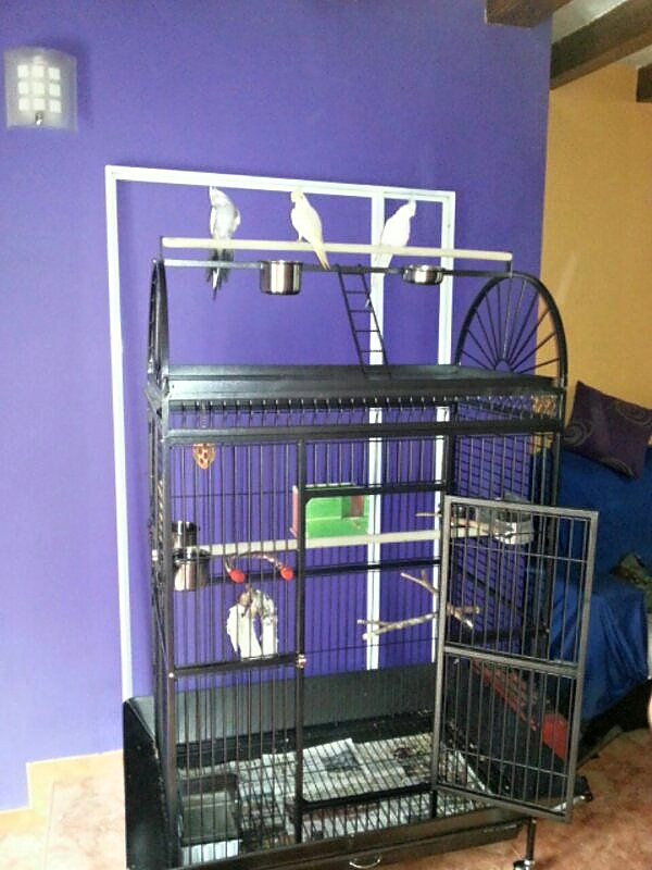 Voliéra pre zvieratá - klietka - 16