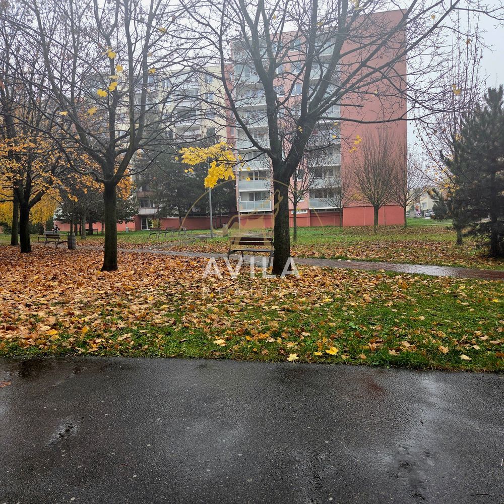 Predaj: Veľká garsónka s balkónom a výhľadmi (AVILA) - 16