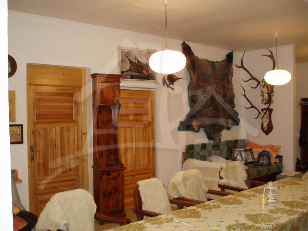 Štýlovo prerobený dom na bývanie a budova na podnikanie - 16