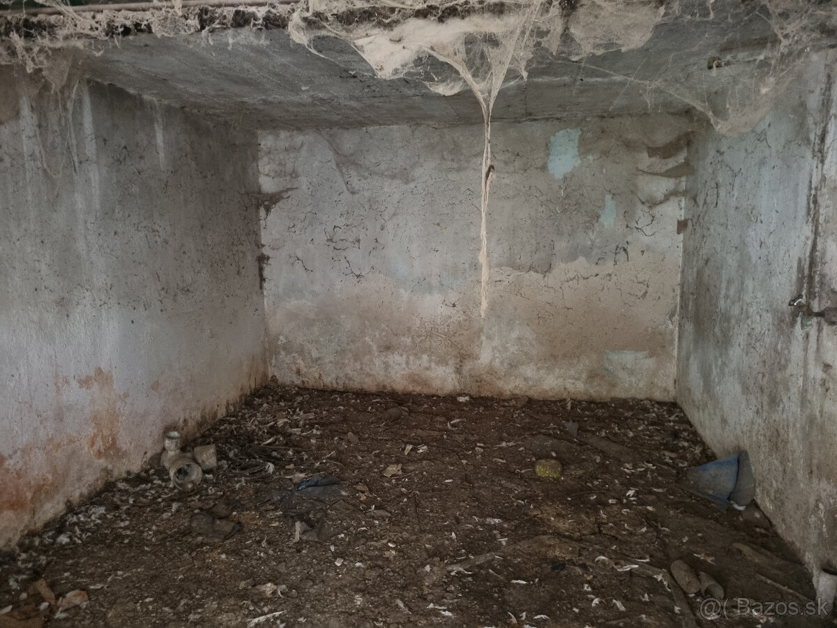 RODINNÝ DOM a POZEMOK 1205 m2 DOBRÁ VODA - VOĽNÝ - 16