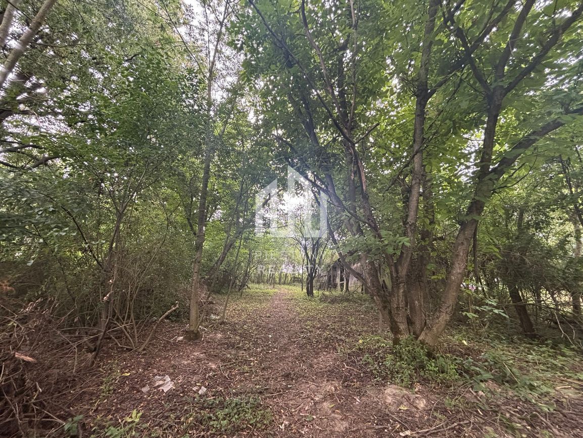 Predaj vidieckej chalupy s kúzlom minulosti v srdci kopaníc - 16