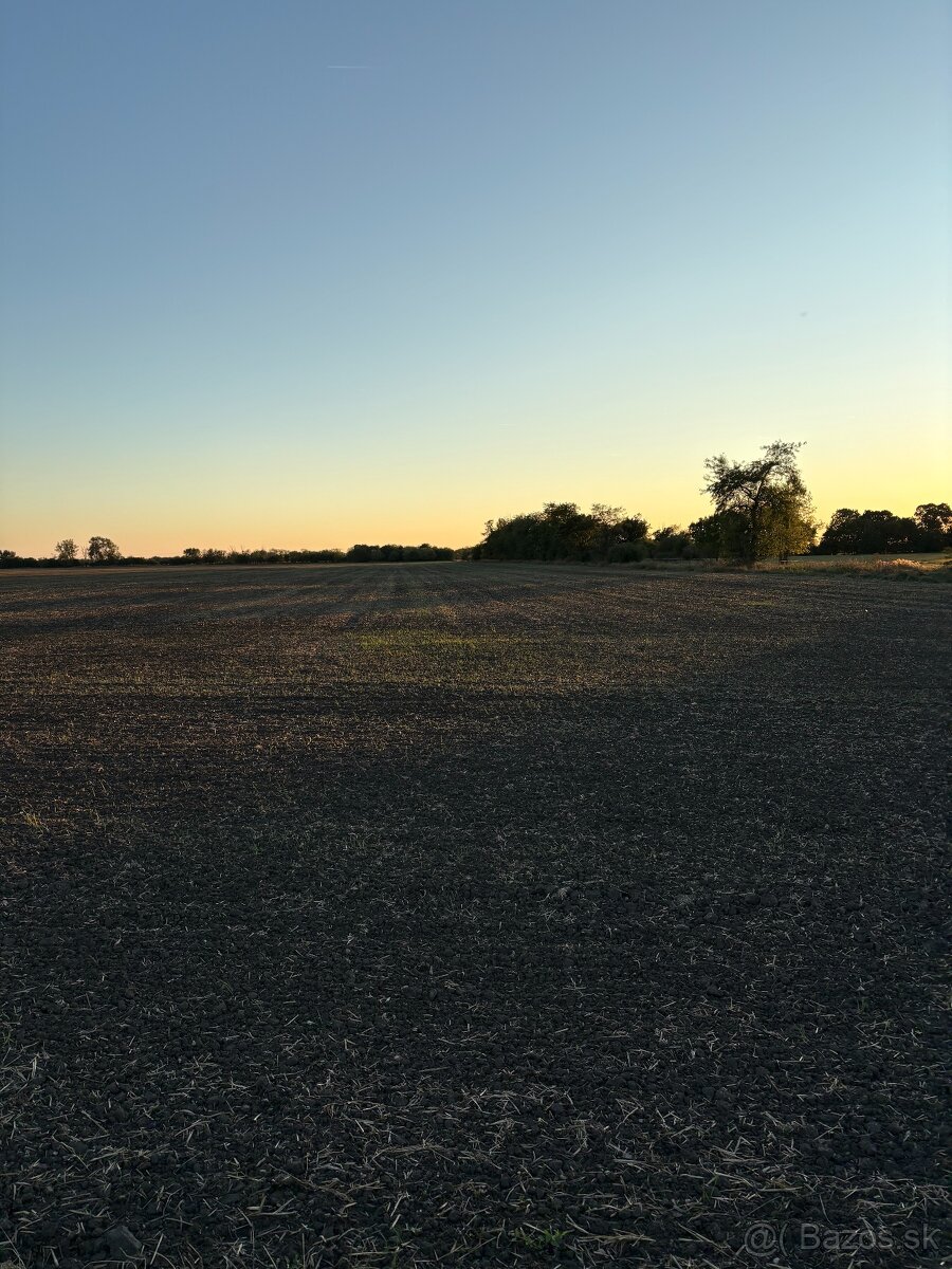 Na predaj pozemok o rozlohe 292000 m2 s poľovníckou chatou - 16