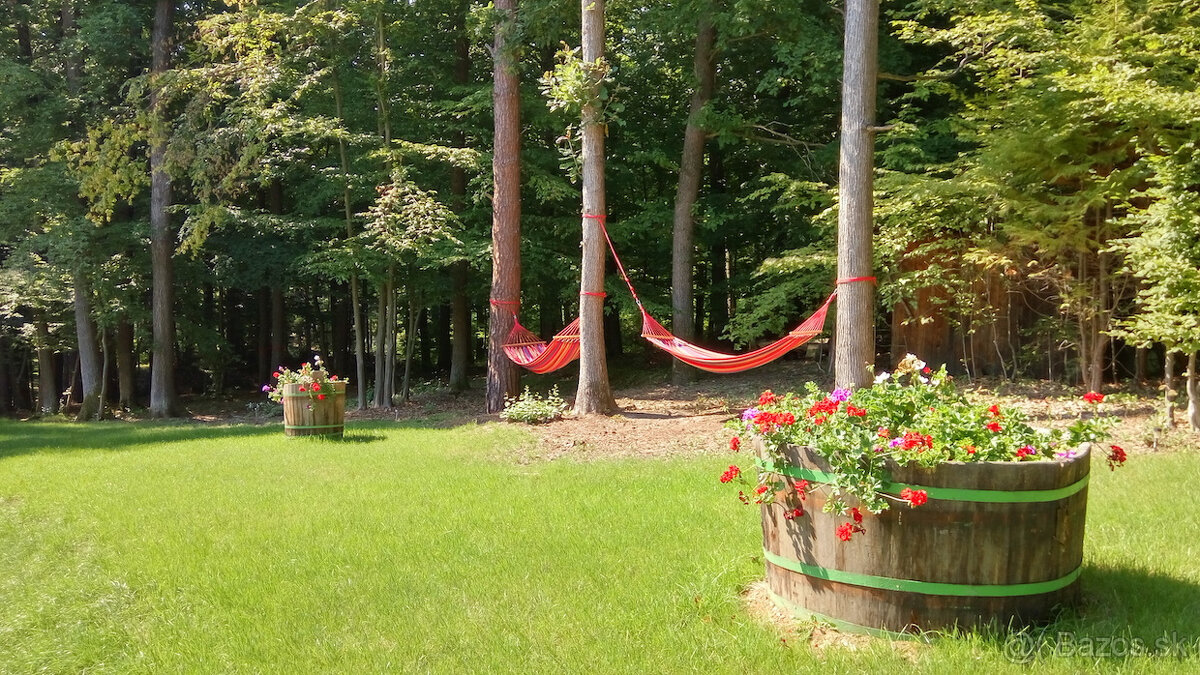 Prenajmem ( predám ) zabehnutý hotel pri R1 medzi BB ZV - 16