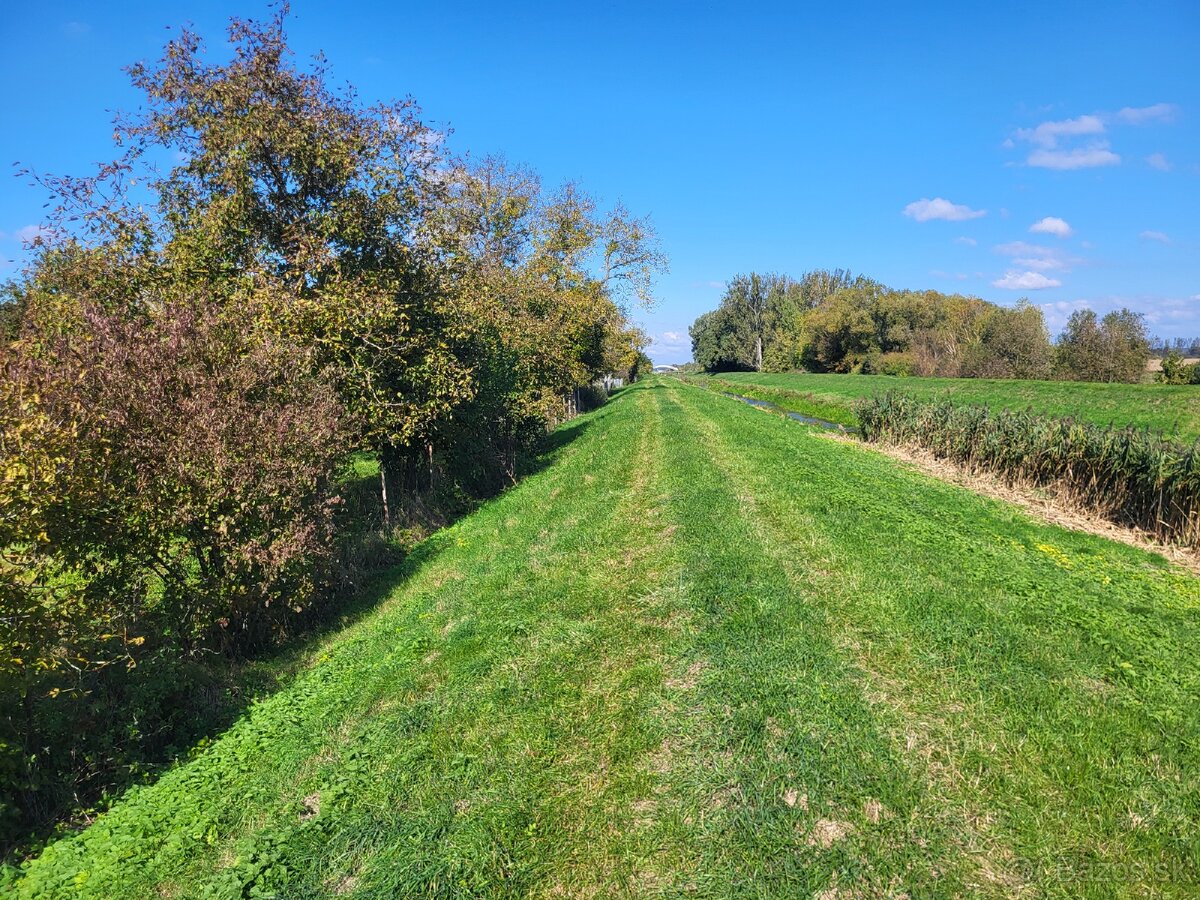 TOP Ponuka, Dom + pozemok 2513m2 v Zemplinskom Hradisti - 16