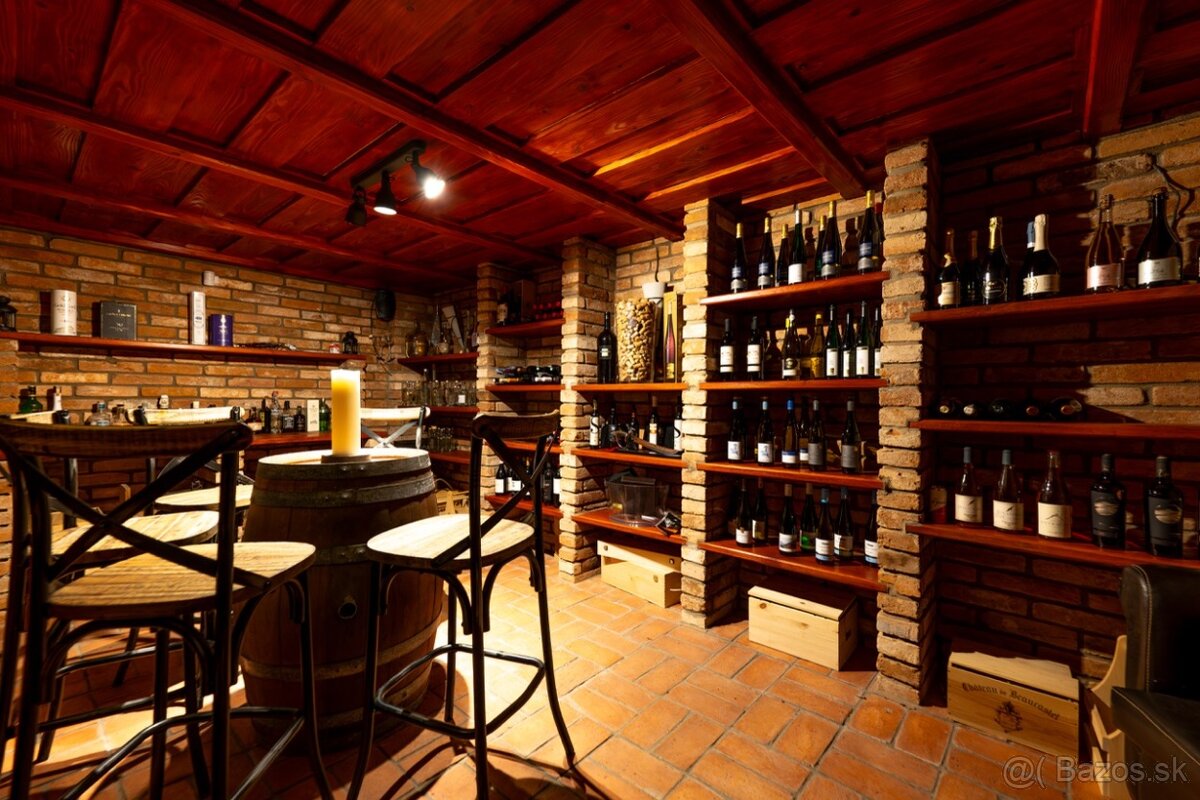 Exkluzívna rodinná vila Bošáca - 16