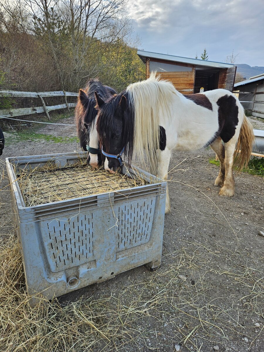ustajnenie koni, vychadzky vodenie pre deti - 16