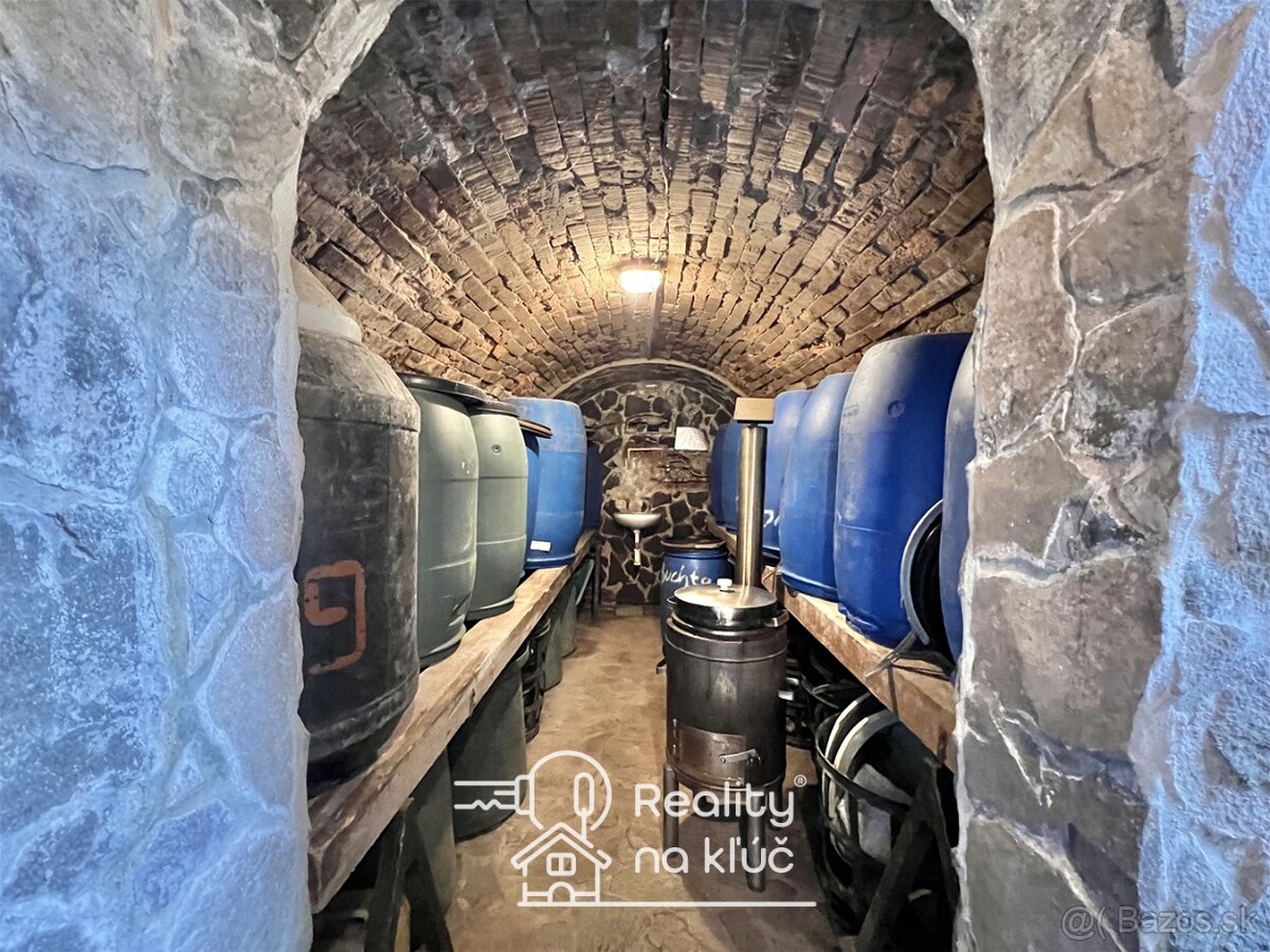 Na predaj krásna zariadená chata s vinohradom - Trávnica - 16