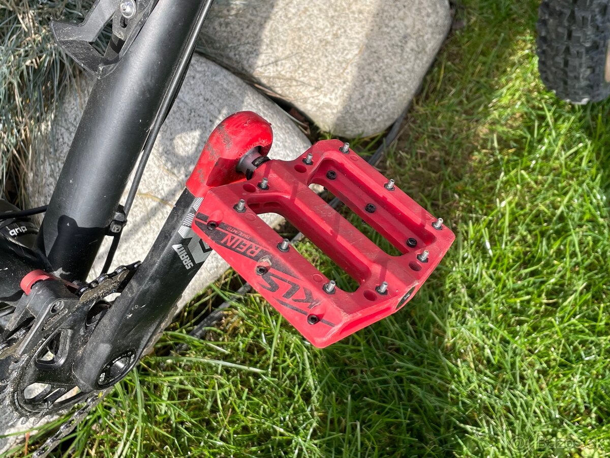 On One Hello Dave - 16