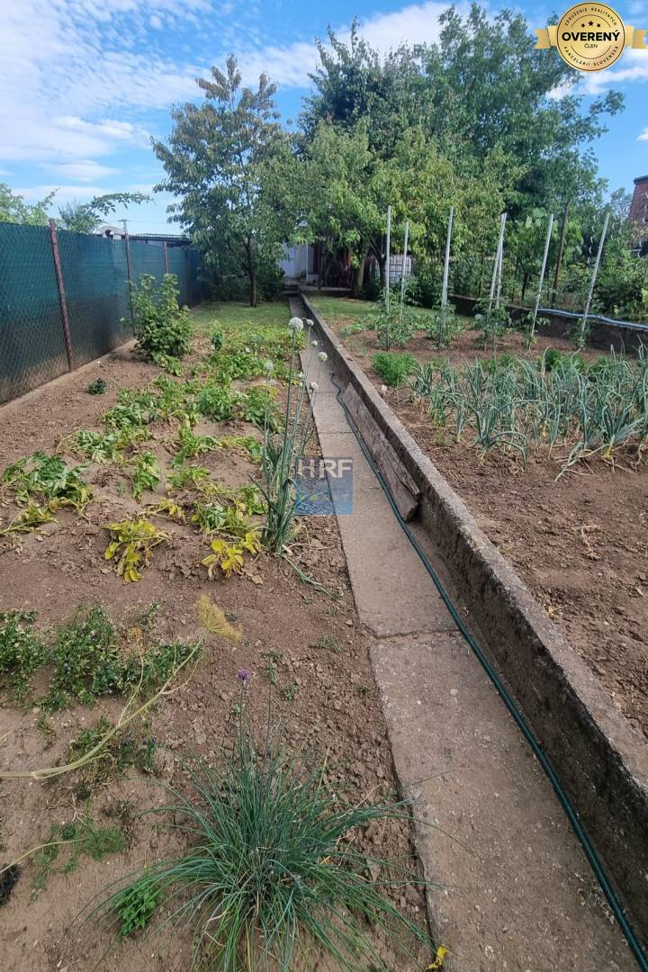 Na predaj dom v Holíči. - 16