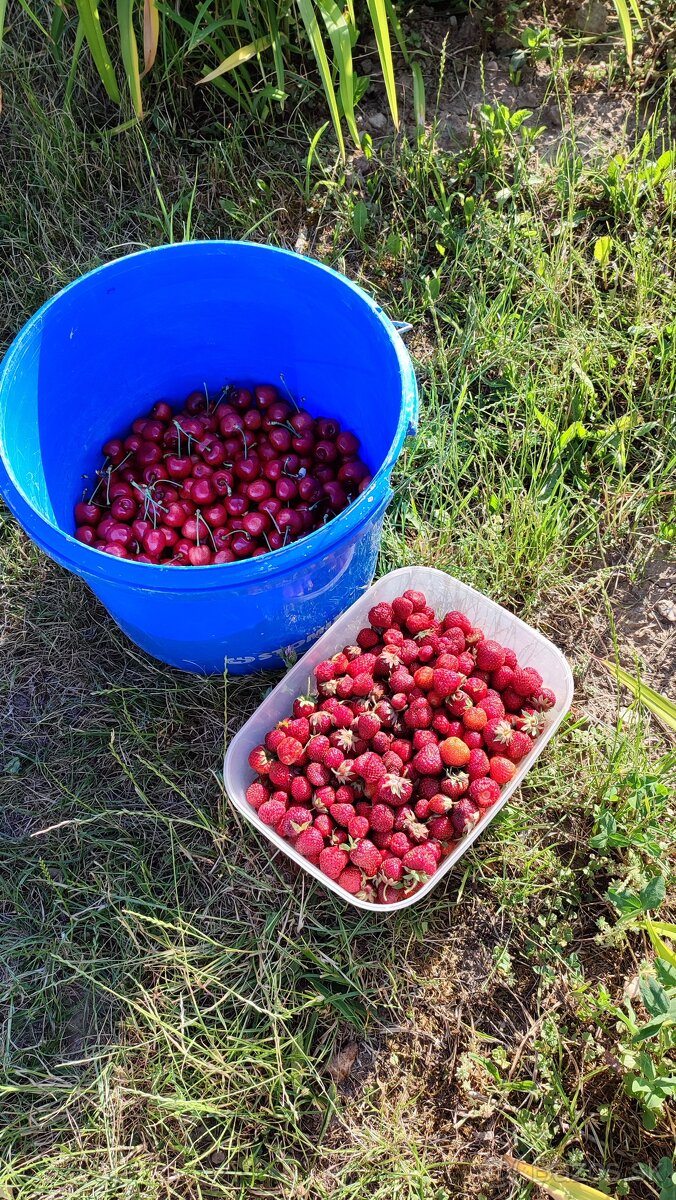 🍀 ZÁHRADA-KOŠICE/JAZERO - celoročný prístup - 16