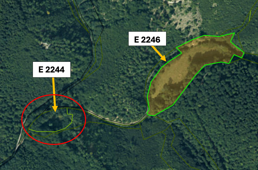 Omastiná – 9.909 m2 LESY a PASIENKY – PREDAJ - 16