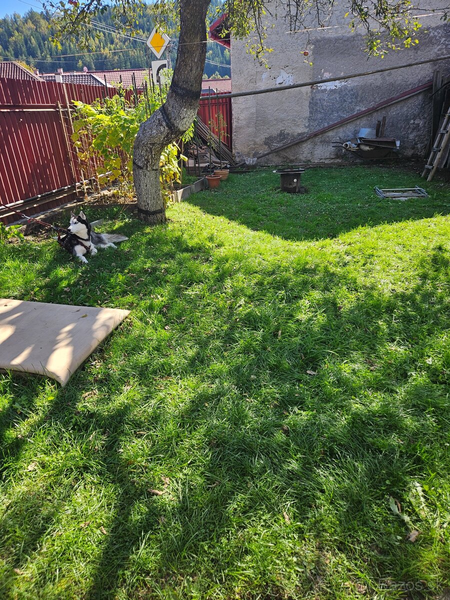 Rodinný dom na predaj - 16