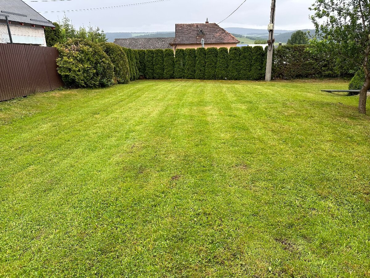 kosenie trávy,strihanie stromčekov- detail Grasscare - 16