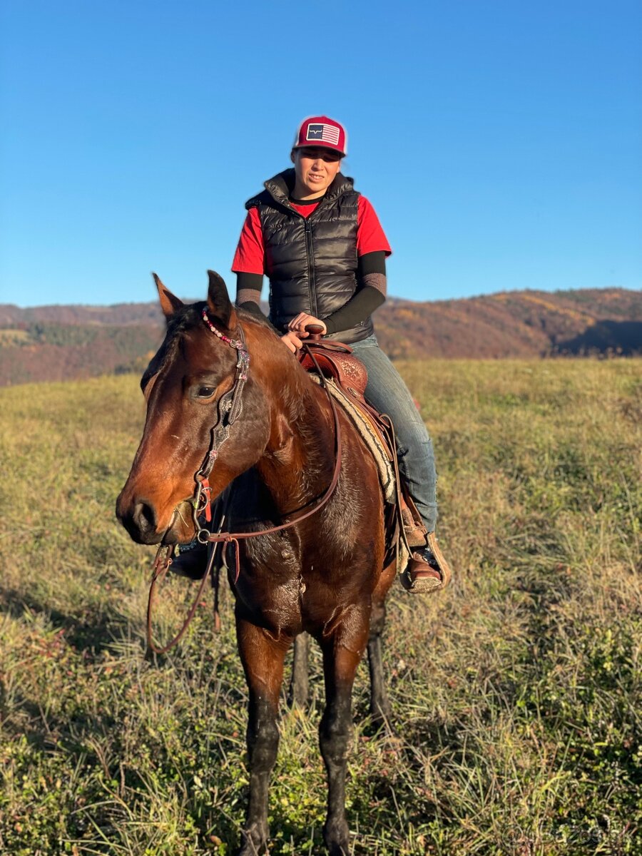 tréning koní - obsadanie - 16