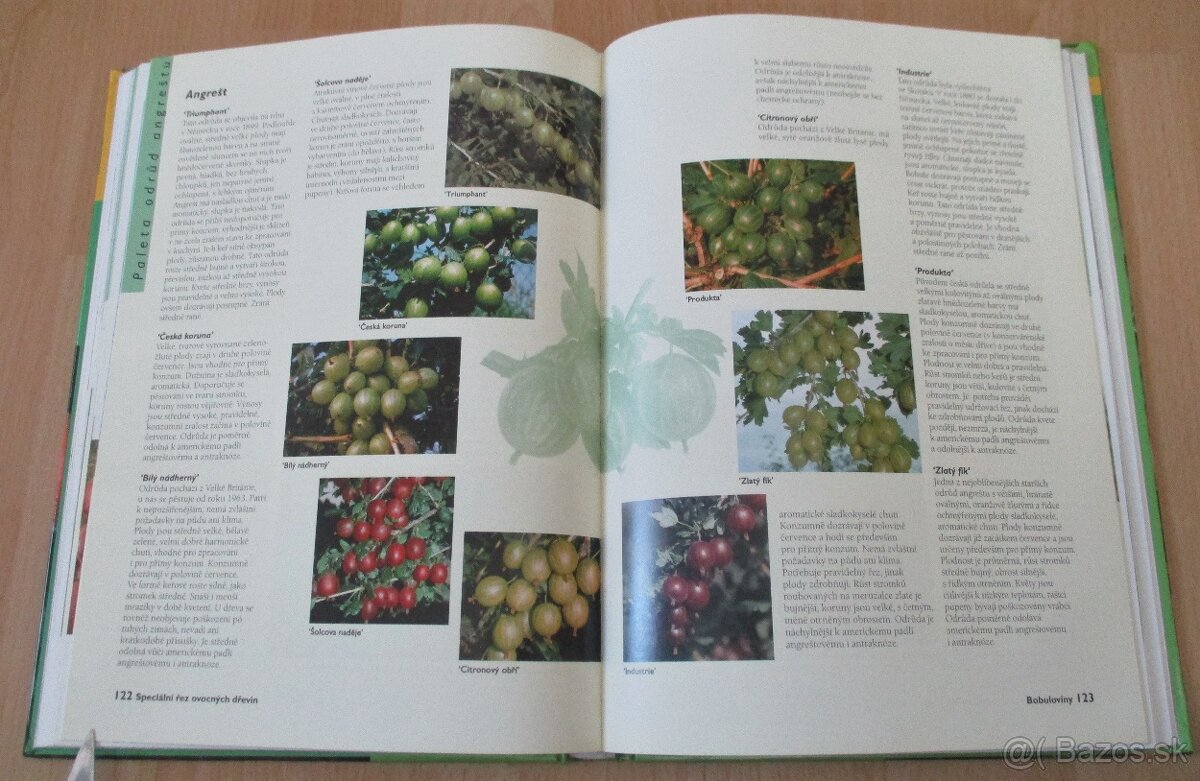 Řez ovocných stromu a keřu - 16