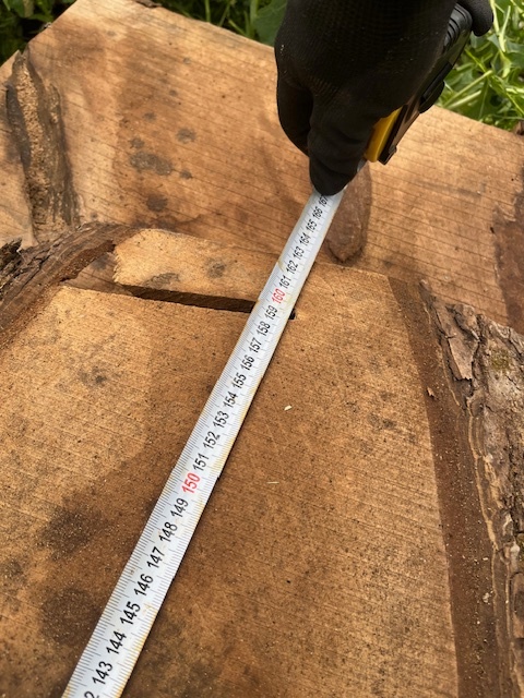 Orechové drevo - rezivo - 16