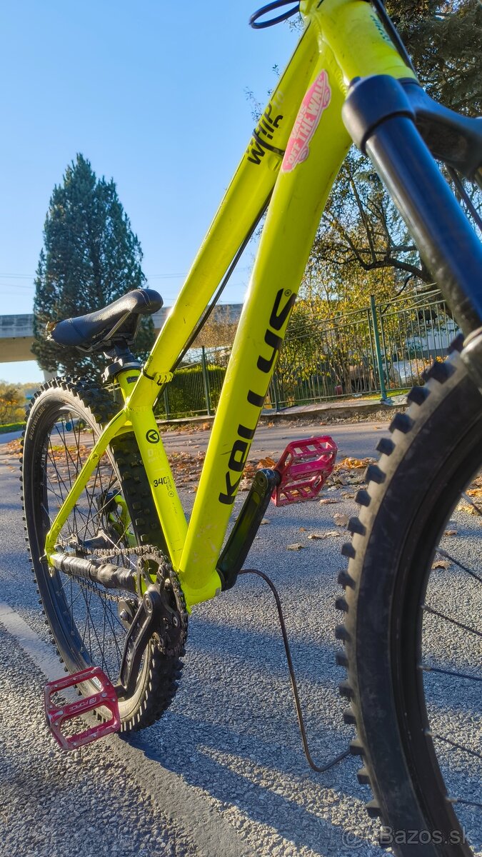 Kellys whip 10 2018 - 16