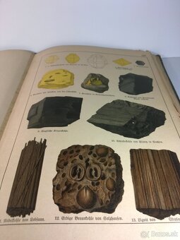 Staré Mineralógia -Paleontológia -1888 - 16