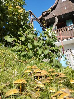 2. IZBOVÝ BYT + CHATA - priame centrum Bytča - 16