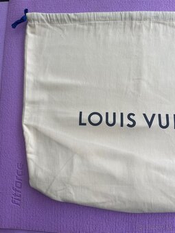 Louis Vuitton Palm Springs PM Backpack - 16