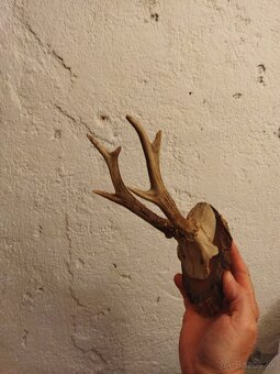 hlavice na vysavace a ine..LACNO.. - 16