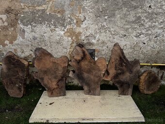 Orechove rezivo - 16