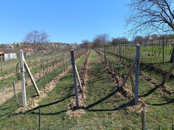 Na predaj vinohradnícky domček – chata - 16