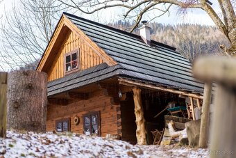 Sony FE Sonnar T 55mm f/1.8 ZA  Carl Zeiss - 16