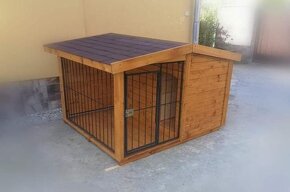 Búda pre psa - 16