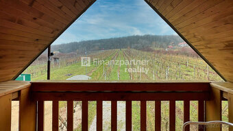 Chata s pivnicou a vinicou v krásnej oblasti Jelenec - 16