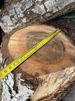 Orechové drevo - 16