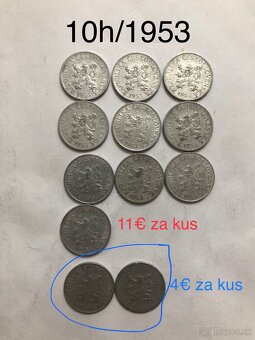 Mince (50h/10h/20h) - 16