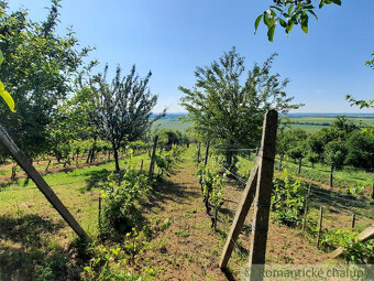 Viničný domček s altánkom, vinicou a ovocným sadom v Malýc - 16