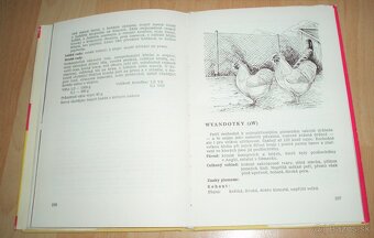 Plemená drubeže - 16