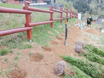 Tuja Smaragd, vavrínovec, červienka - Prešov - 16