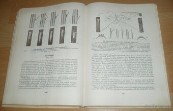 Štepenie, očkovanie a preštepovanie drevín - 16