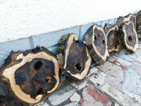 Rezivo, orechové drevo, fošne - 16