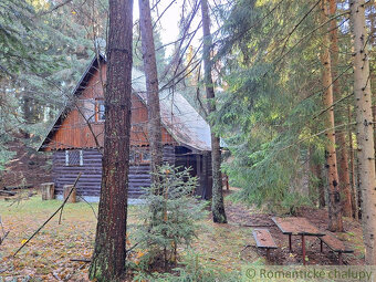 Chata v Studenej doline na vlastnom pozemku s vodou a elek - 16