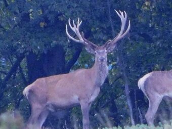 Predám Nikon Coolpix B500 – perfektný stav, príslušenstvo mo - 16