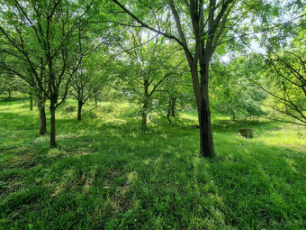 CHALÚPKA a POZEMOK 2000 m2 KRAJNÉ KOPANICE VOĽNÁ - 16