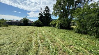 Záhradnícke práce,  úpravy a rekonštrukcie záhrad - Košice - 16