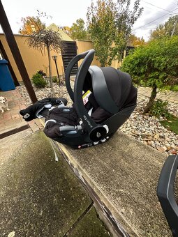 Kočiar coletto dante - 16