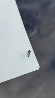 Škoda Fabia II Combi 1.4 TDI - 16