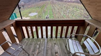 Rekreačná chata s vinohradom 608 m2, Jelenec, Nitra - 16