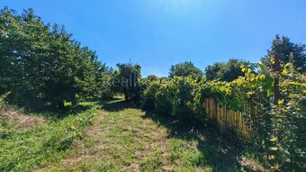 Na predaj rodinný dom v obci Šoporňa - 16