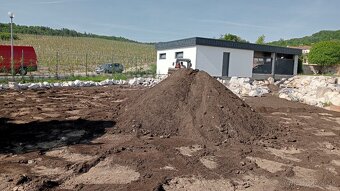 Tuja Smaragd, vavrínovec, červienka - Zvolen - 16