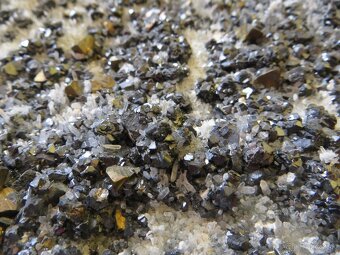 Mineral (galenit, chalkopyrit, sfalerit, kremeň) (Hodruša) - 16