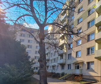 HALO reality - Prenájom, dvojizbový byt Trnava, Hospodárska  - 16