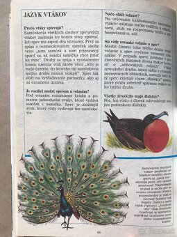 Deti ako ja, Ľudské telo, Môj adventný kalendár, Jezuliatko - 16