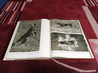 Poľovnícke knihy - 16